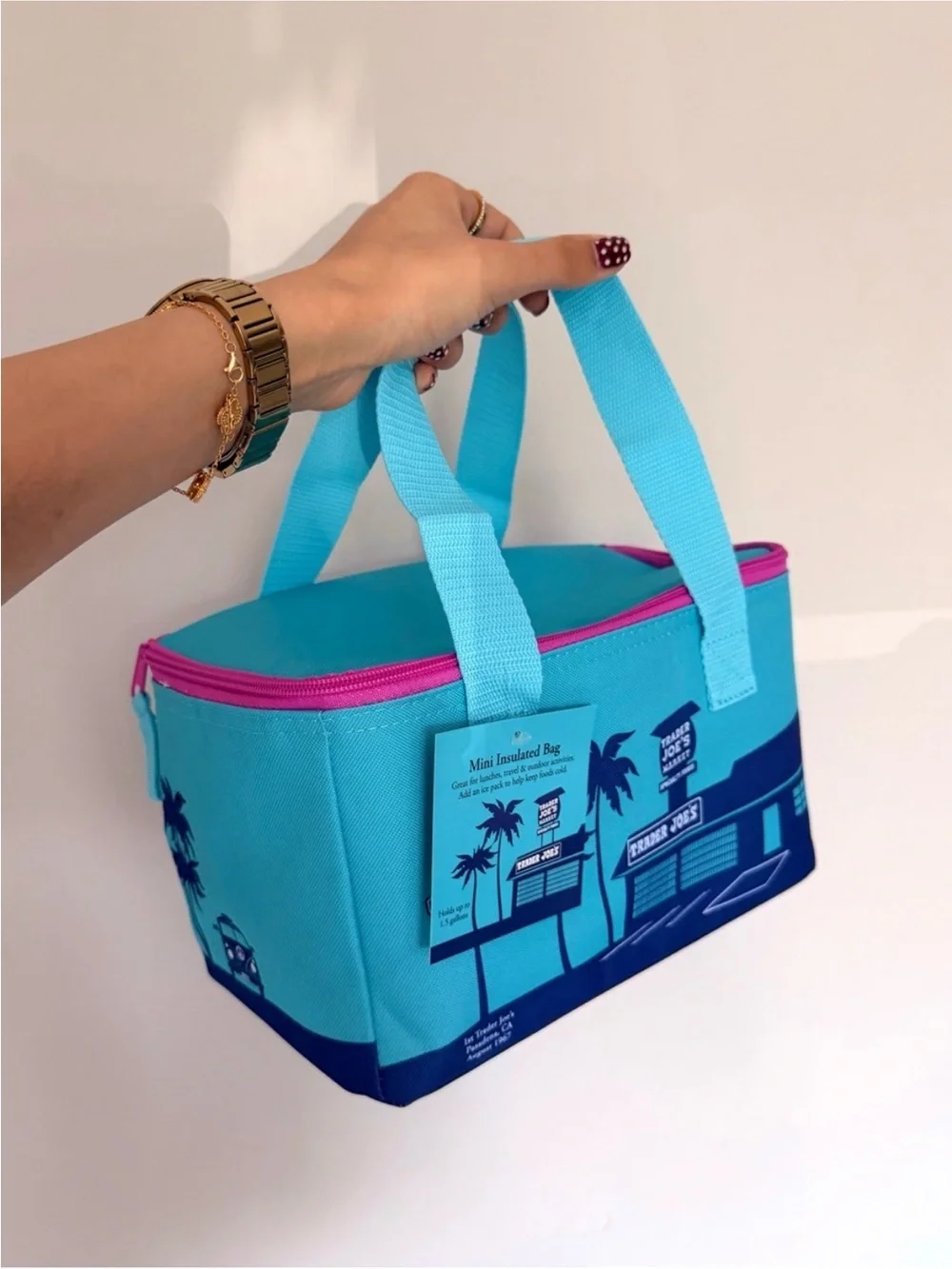 Trader Joe’s Mini Insulated Lunch Bag - Pink and Blue